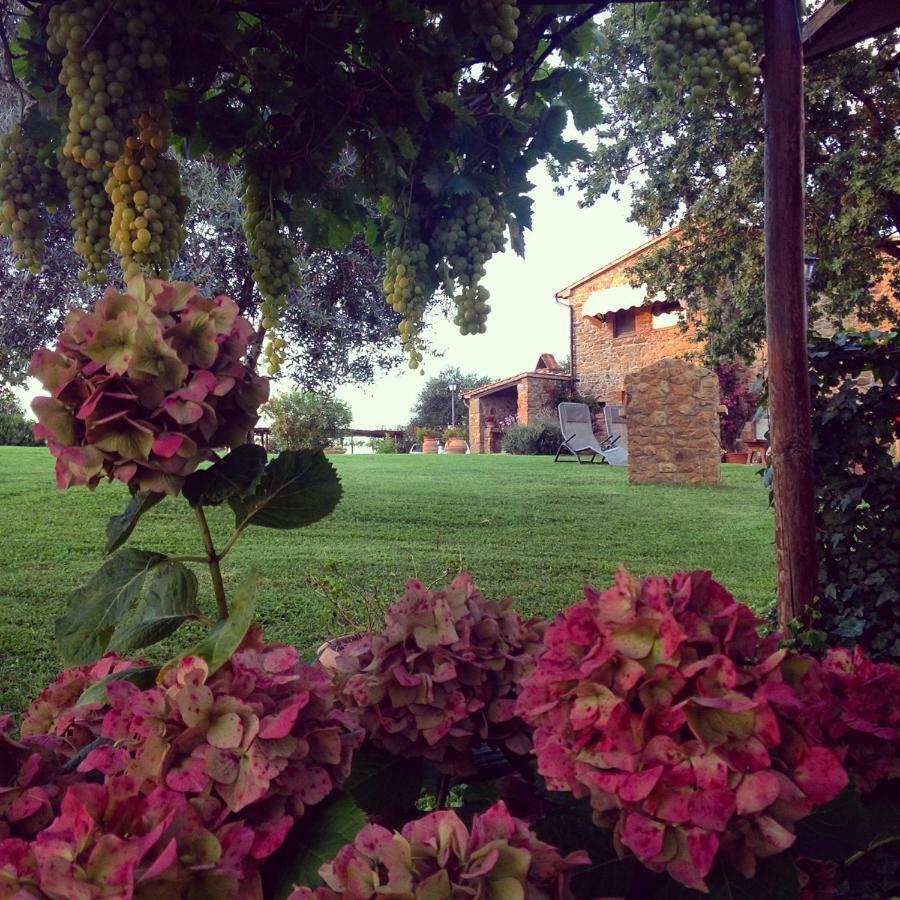 Casale Giacomini Bed & Breakfast Manciano Exterior photo