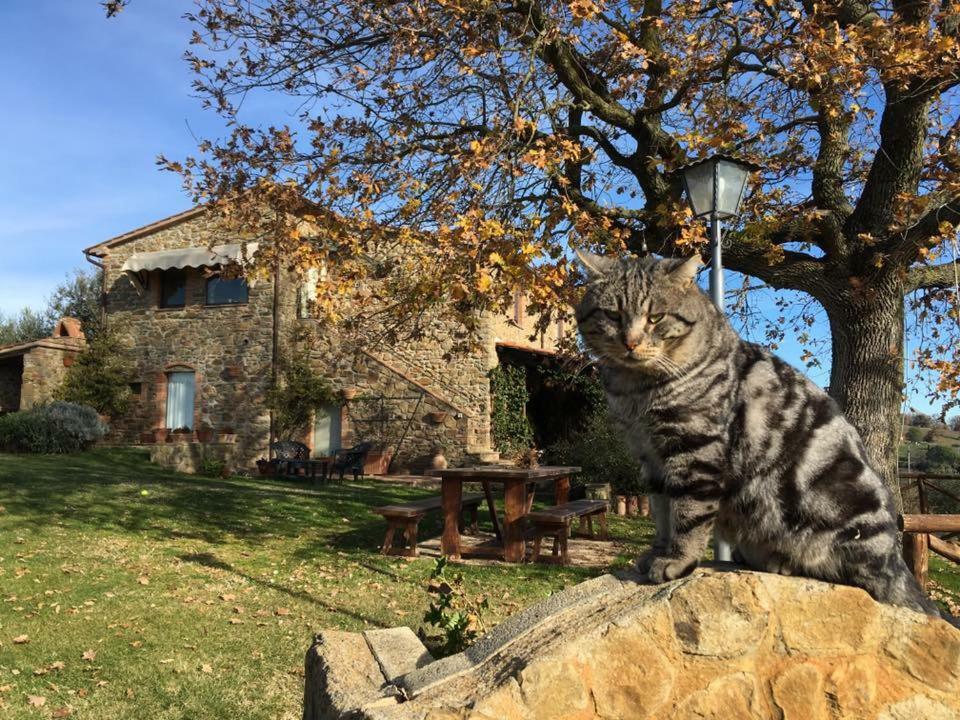 Casale Giacomini Bed & Breakfast Manciano Exterior photo
